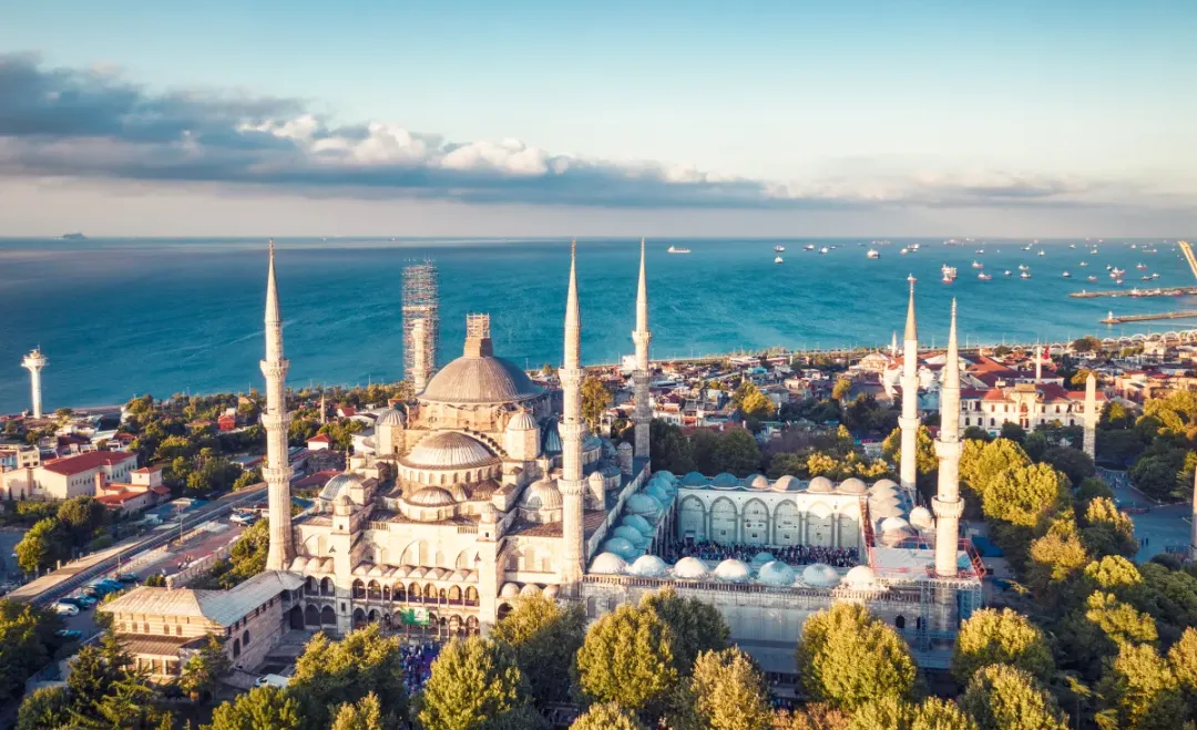 土耳其纸浆模塑行业市场研究报告