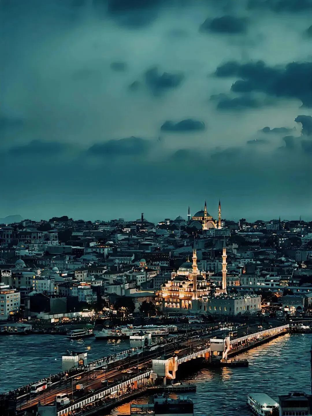 土耳其纸浆模塑行业市场研究报告