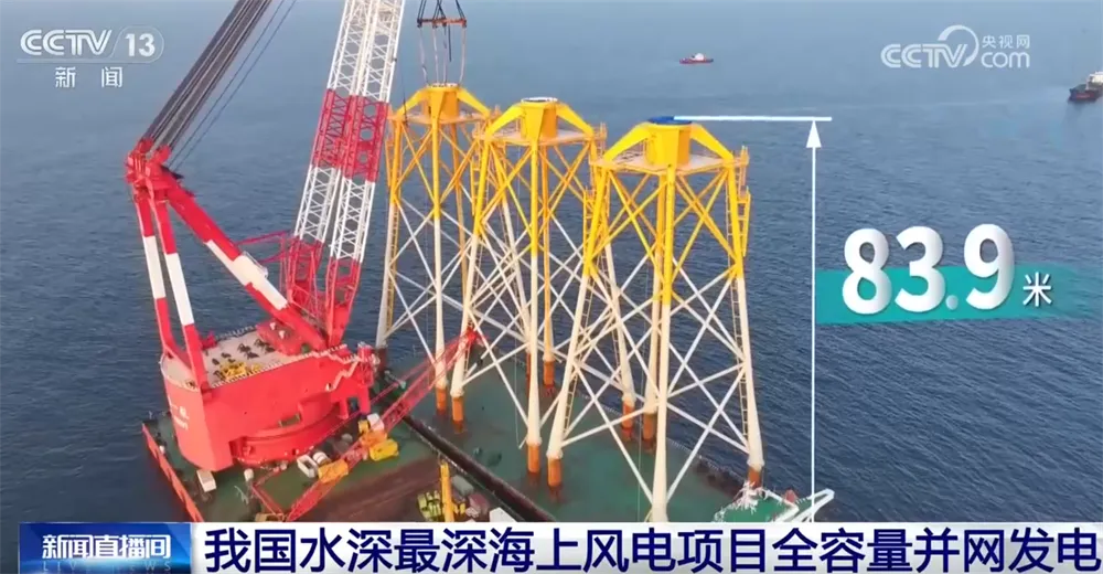 【新闻速递0408】长寿沃柑销往东南亚市场