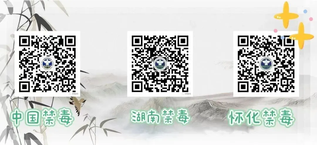 溆浦:跳蚤市场融公益,禁毒科普护成长