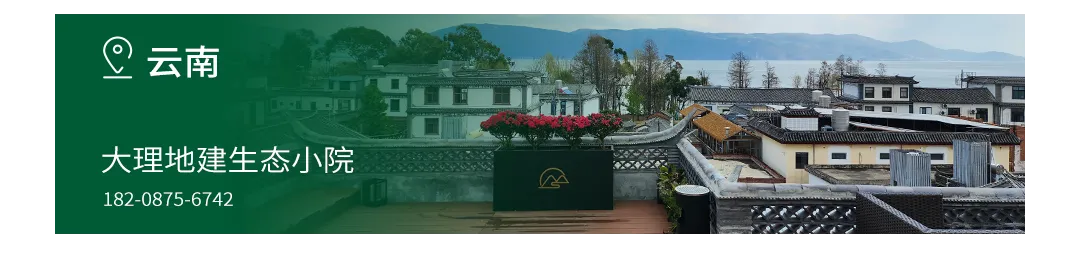 春风有信,南山有约 | 酒店集团春日营销点亮小长假旅居体验