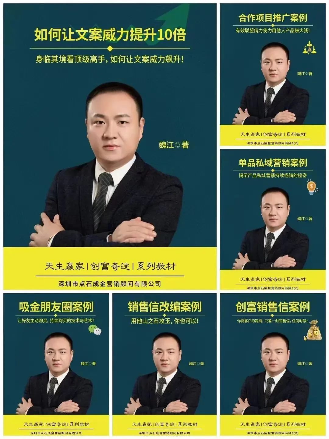 私域营销落地秘籍:魏江老师8本营销案例书+立竿见影文案课