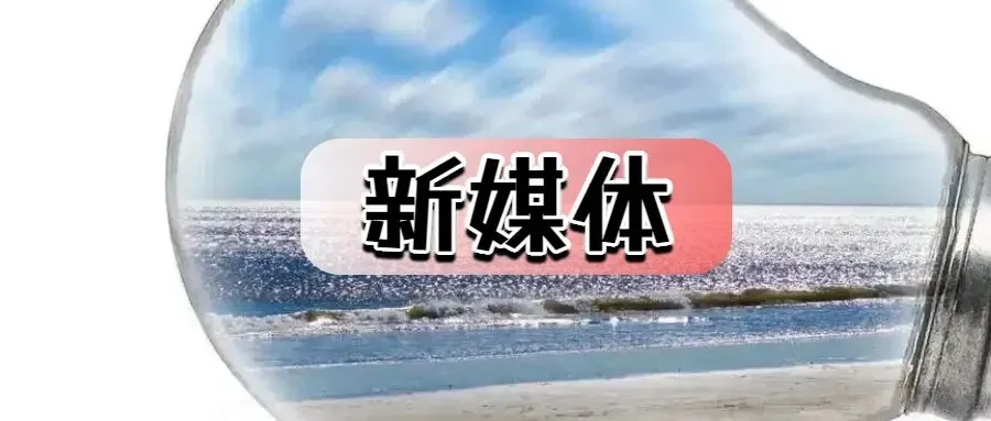 新媒体营销推广方案(35份)