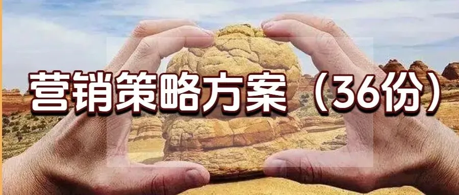 新媒体营销推广方案(35份)