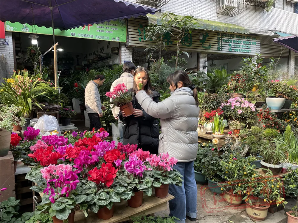 新春走基层丨江阳区:年味飘起来,消费市场红火火