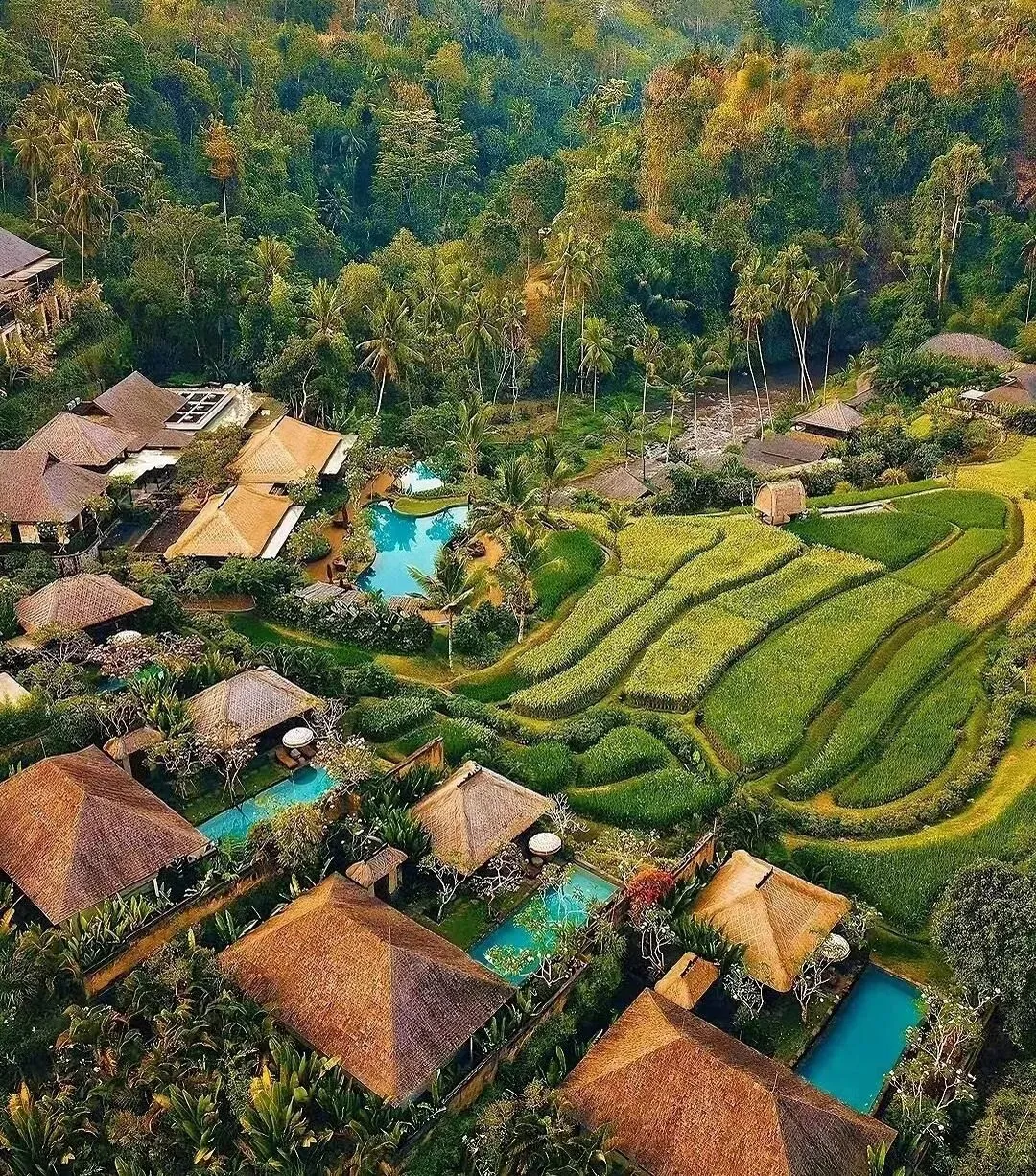 巴厘岛两大顶奢酒店销售总监到访Vee奢国际,共话高奢度假新未来