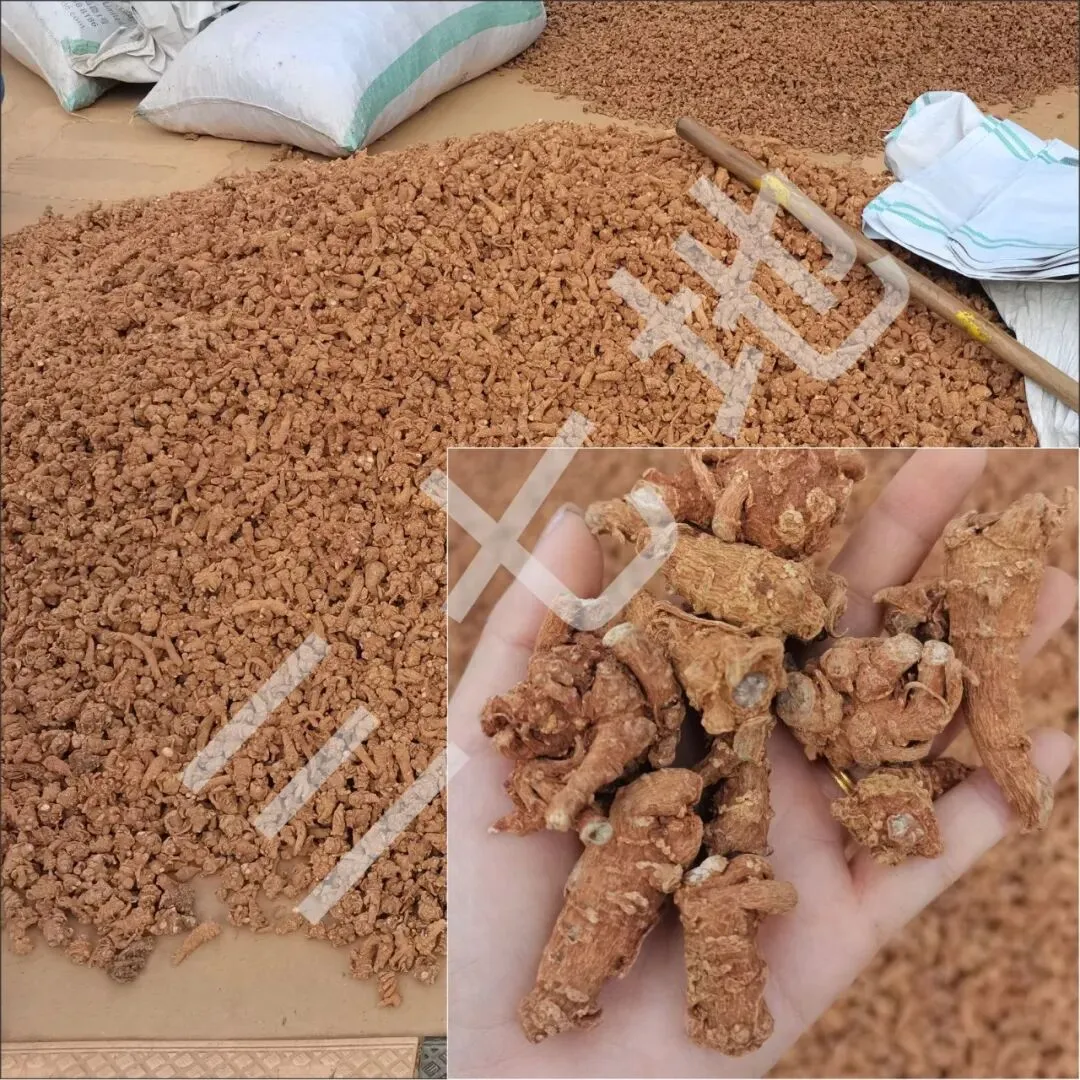 4月8日文山三七大宗原料和水洗(批发)市场,实时成交价格及行情更新