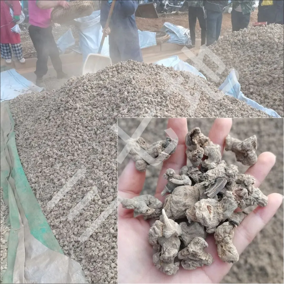 4月8日文山三七大宗原料和水洗(批发)市场,实时成交价格及行情更新