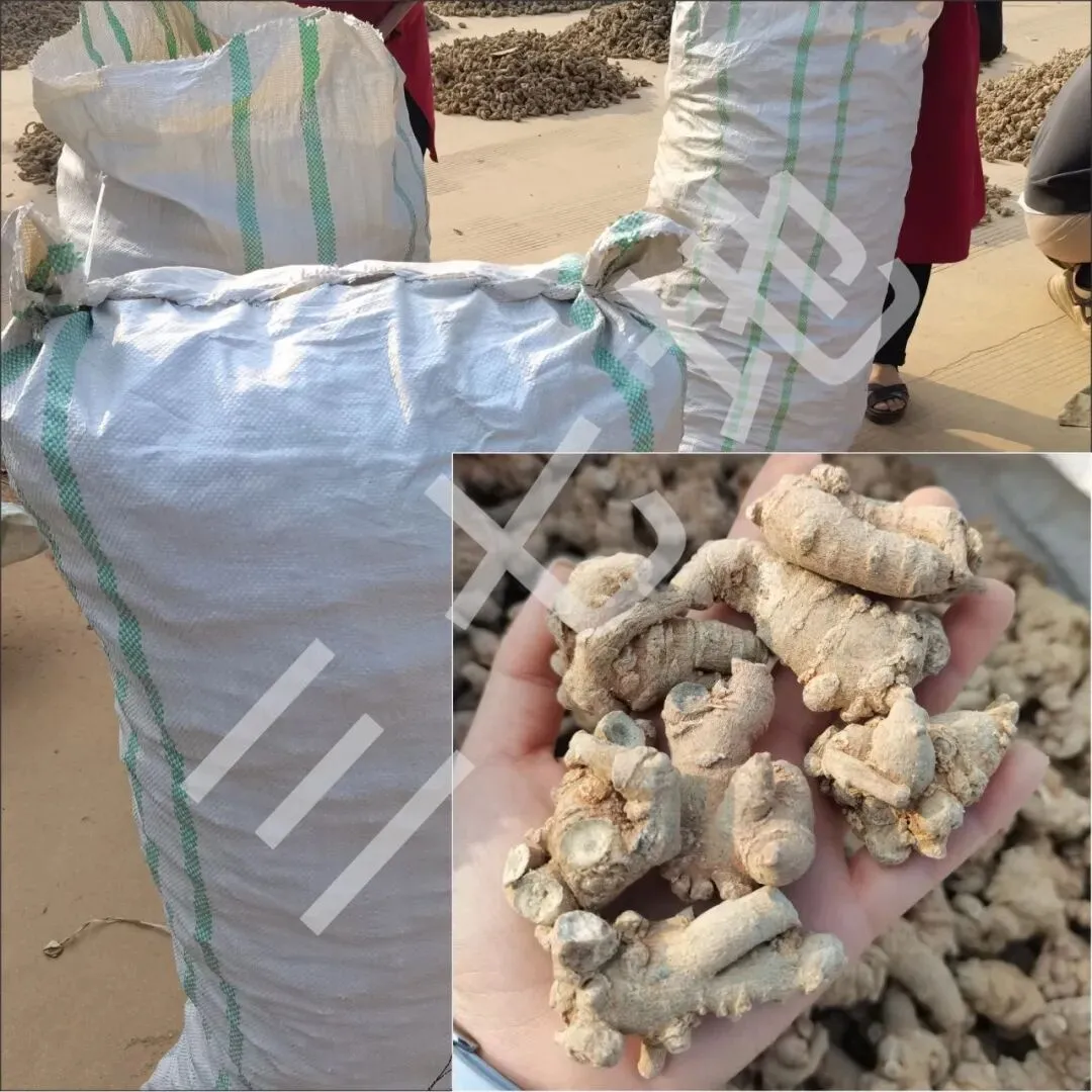 4月8日文山三七大宗原料和水洗(批发)市场,实时成交价格及行情更新