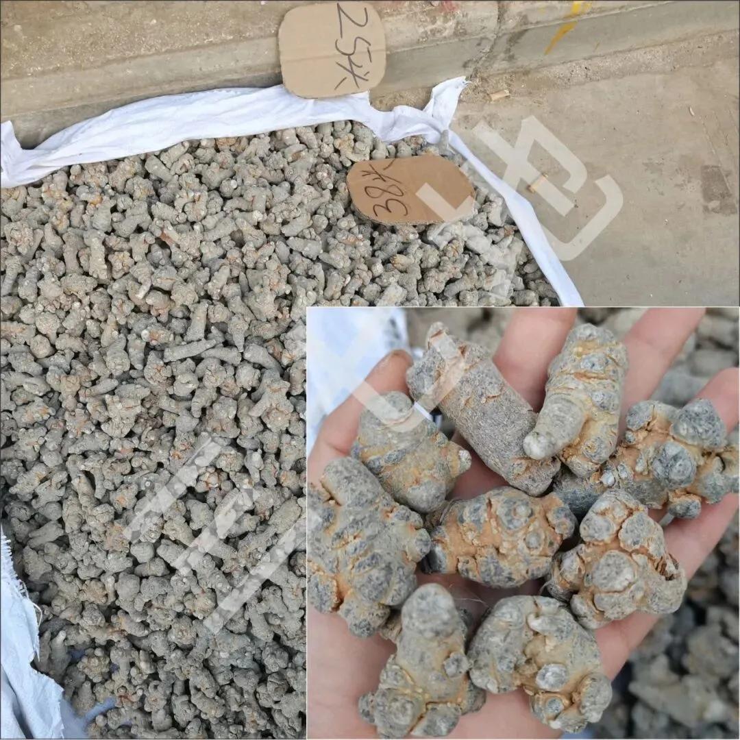 4月8日文山三七大宗原料和水洗(批发)市场,实时成交价格及行情更新