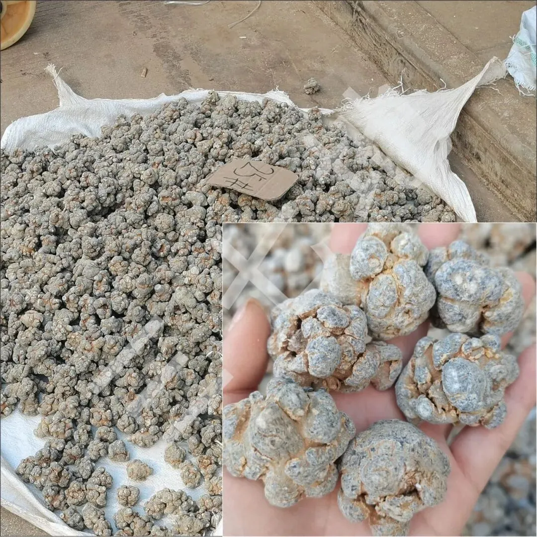 4月8日文山三七大宗原料和水洗(批发)市场,实时成交价格及行情更新