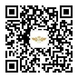 4月8日文山三七大宗原料和水洗(批发)市场,实时成交价格及行情更新