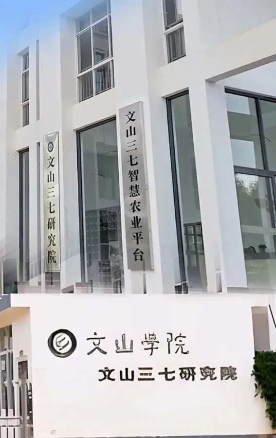 4月8日文山三七大宗原料和水洗(批发)市场,实时成交价格及行情更新