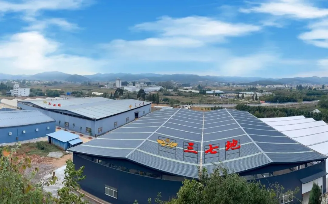 4月8日文山三七大宗原料和水洗(批发)市场,实时成交价格及行情更新