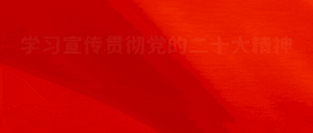 他山之石 | 安徽工业大学计算机科学与技术学院软件工程系教师党支部——党员面对面心贴心,学习效果实打实