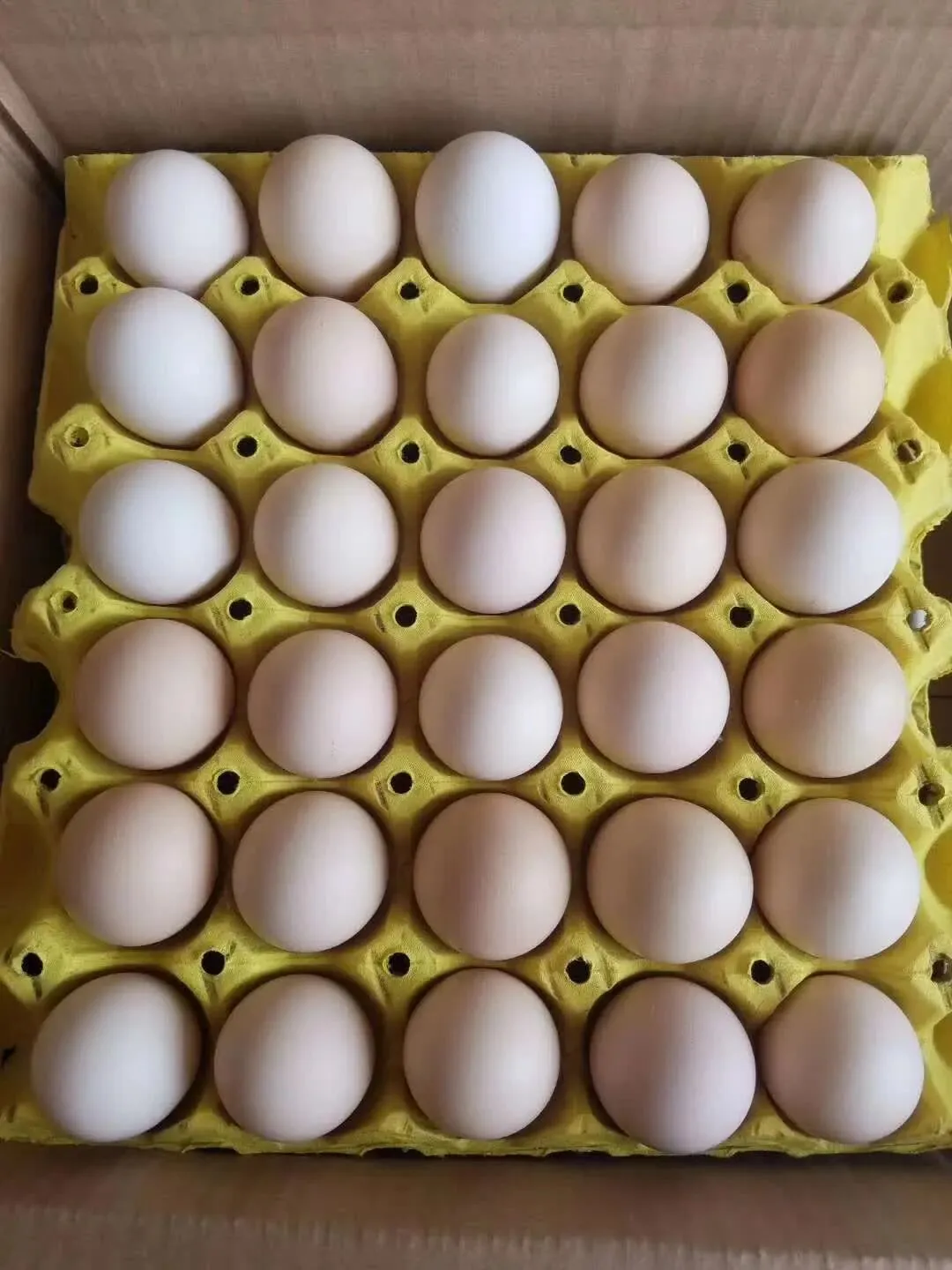 2026.04.08馆陶县金凤市场煜辰蛋业最新鸡蛋价格