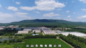 【赢在营销】云山农场有限公司受邀参加首届虎林市企业家节暨第六届寒地荷花节活动