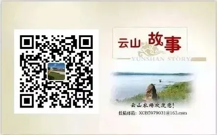 【赢在营销】云山农场有限公司受邀参加首届虎林市企业家节暨第六届寒地荷花节活动