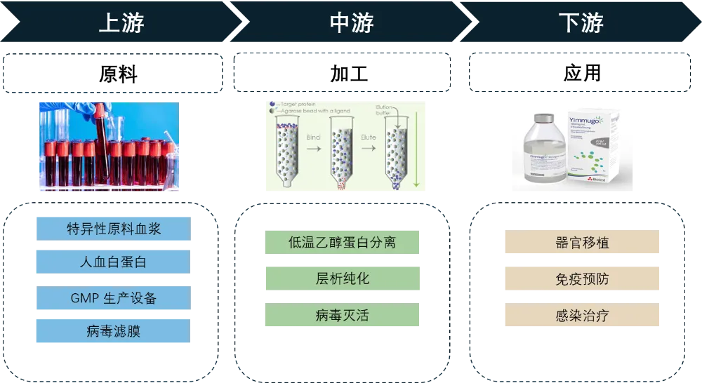 全球超免疫球蛋白市场预计2033年突破40亿美元,SCIG疗法与高端国产化驱动行业升级