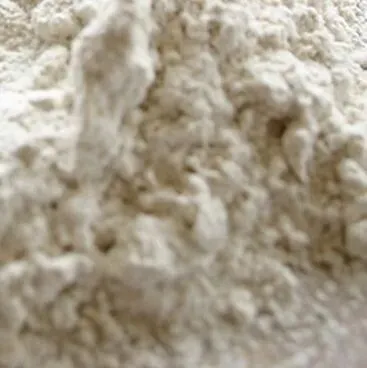 全球超免疫球蛋白市场预计2033年突破40亿美元,SCIG疗法与高端国产化驱动行业升级