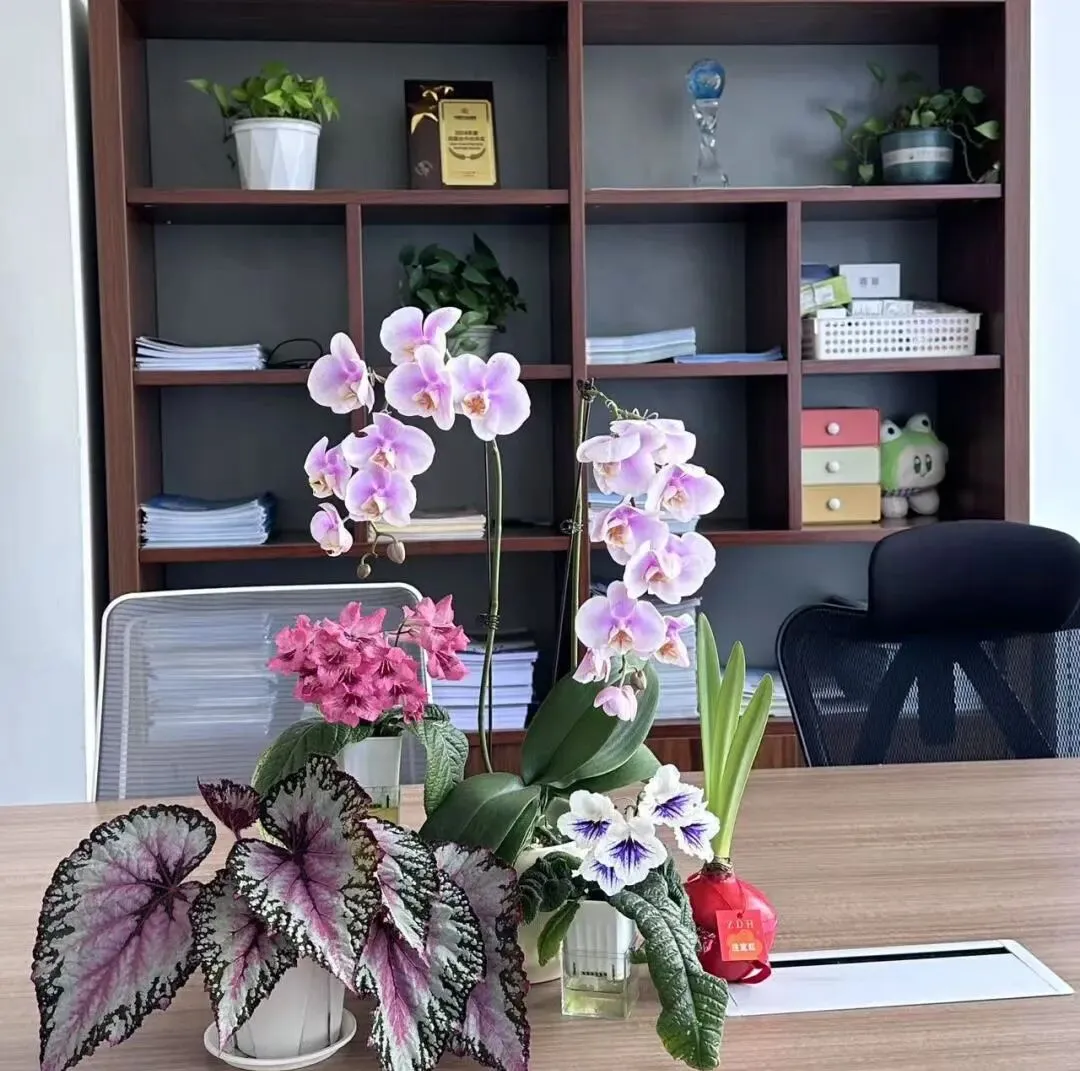 欣百达招募销售精英,共创卓越未来!