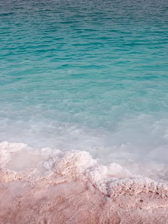 2026年,互联网公司短视频获客的“两极化”:要么IP,要么出局