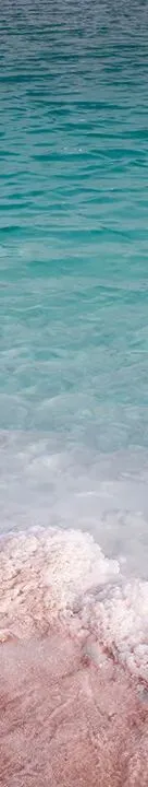 2026年,互联网公司短视频获客的“两极化”:要么IP,要么出局