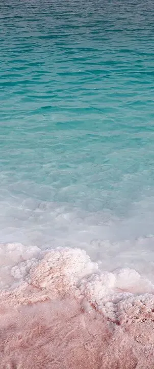 2026年,互联网公司短视频获客的“两极化”:要么IP,要么出局