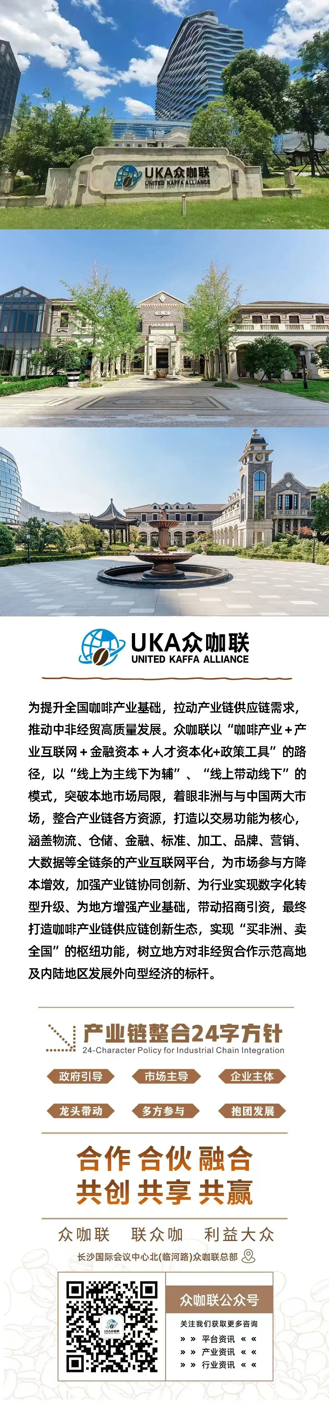 国际咖啡市场:供需格局重塑,价格波动加剧