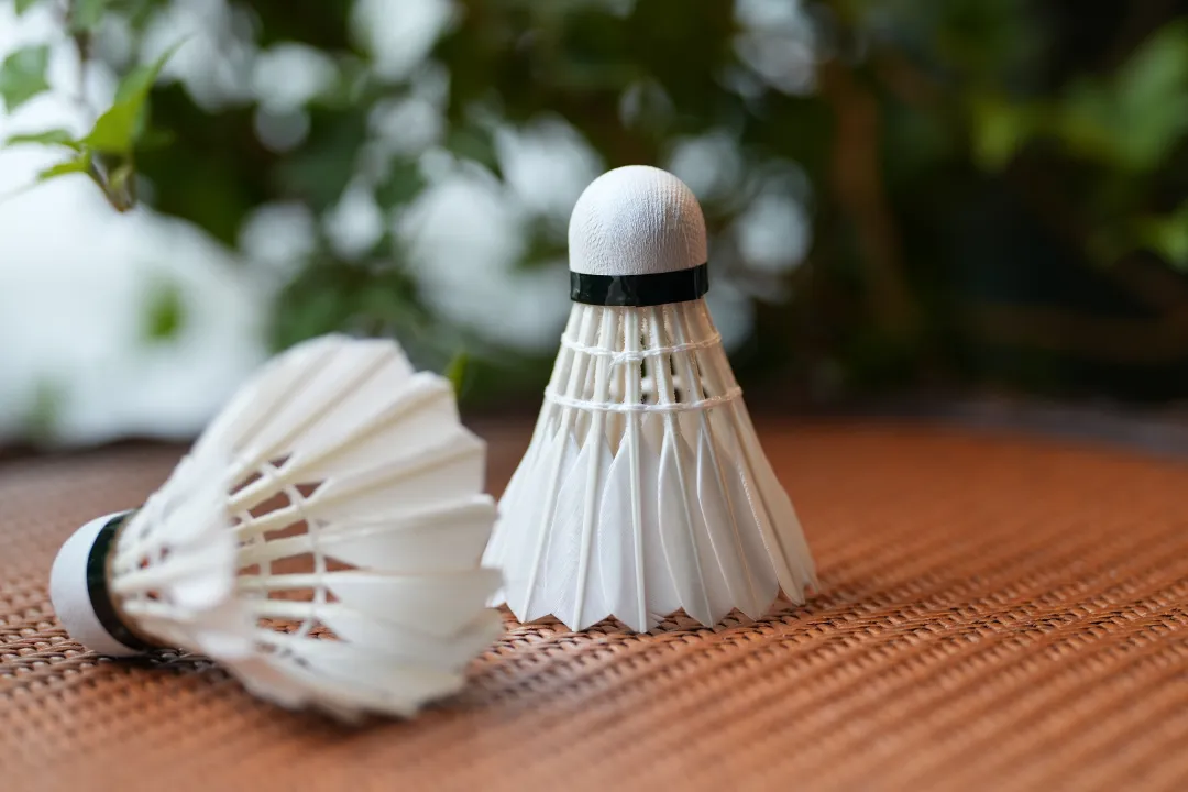 年产1.8亿只羽毛球,拿下全国60%市场,浙江这座小城靠4个字“起飞”!