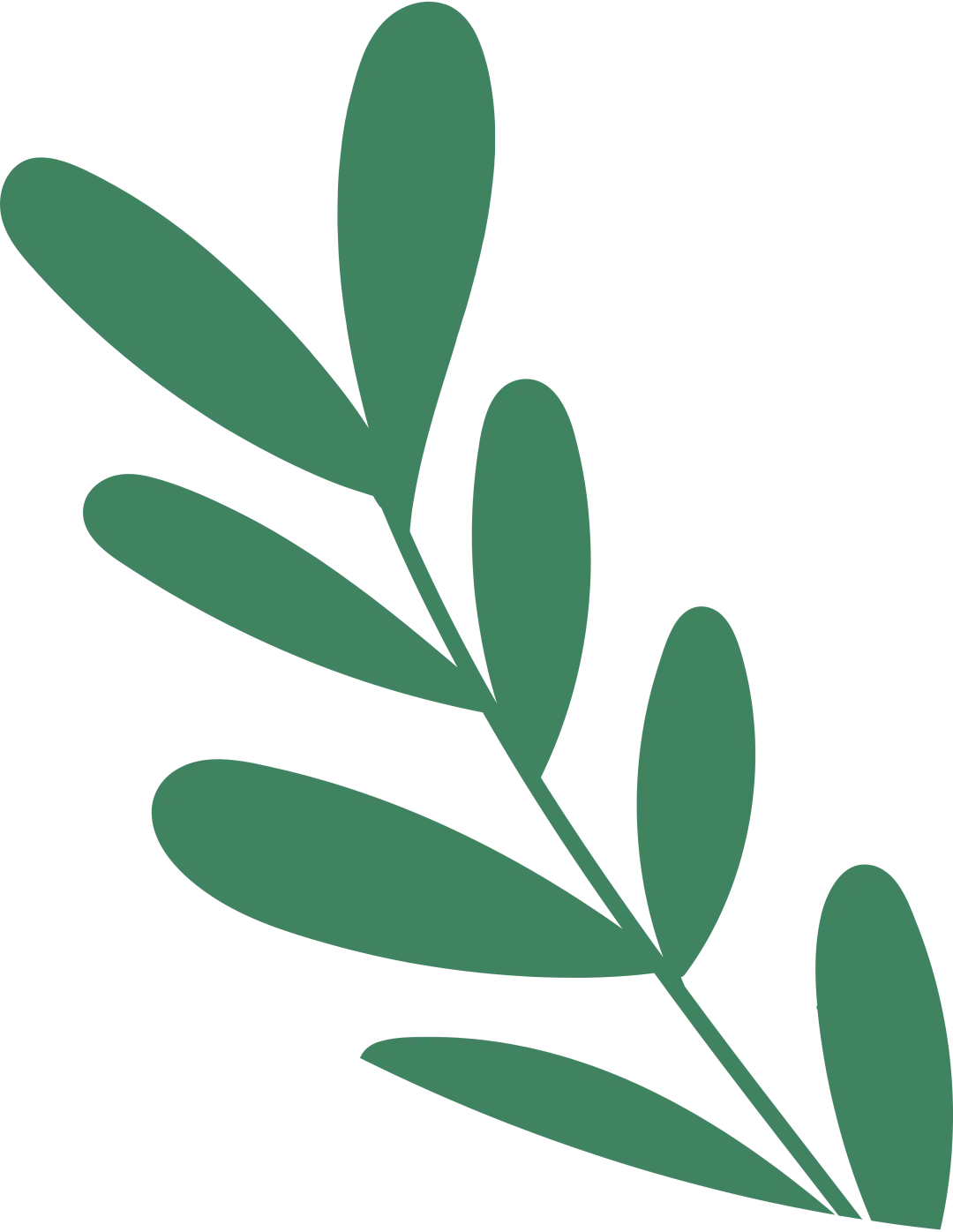 平安财险宁德中心支公司:寿宁营销服务部喜获“2025年度纳税超壹佰万元纳税大户”荣誉称号