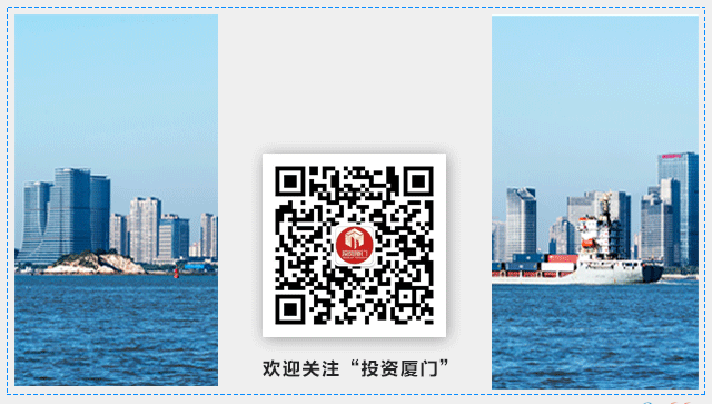 抢占AI营销新赛道!国内GEO一头部企业落地厦门