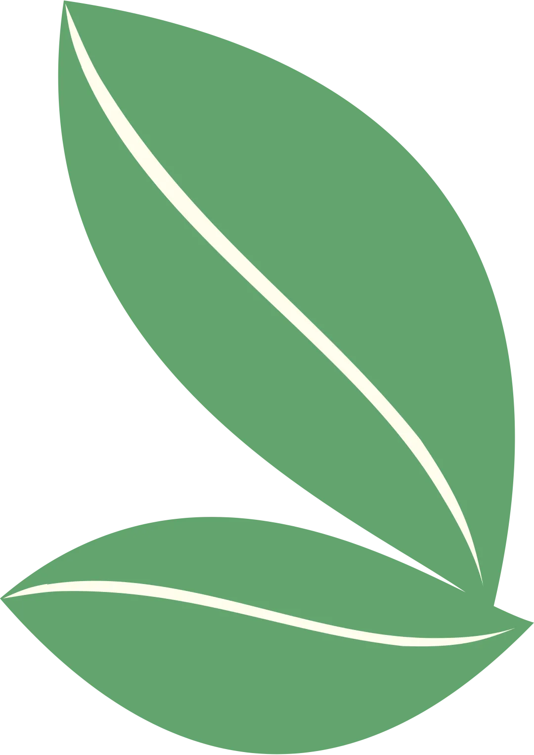 富德生命人寿宁德中支福鼎营销服务部:缅怀革命先烈 汲取奋进力量