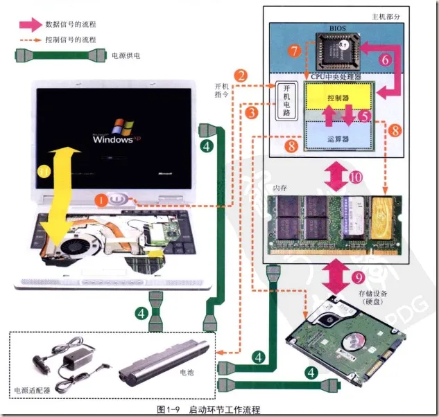 电脑硬件与人体器官进行趣味类比,你的电脑也是一副“血肉之躯”