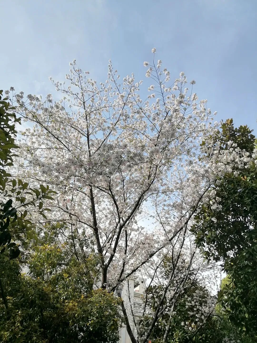 AI搜索营销:零售新逻辑——把“货”变成“答案”