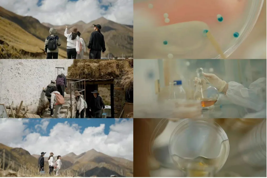 营销服务商推荐|当营销“套路”失灵,你的增长引擎还转得动吗?