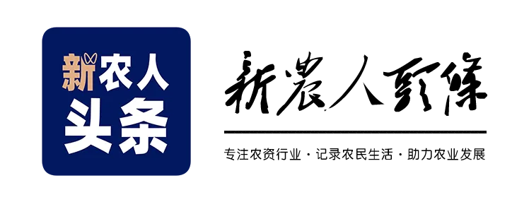 巨穗领航 引爆市场 莘麦808辛集市场启动会火爆出圈