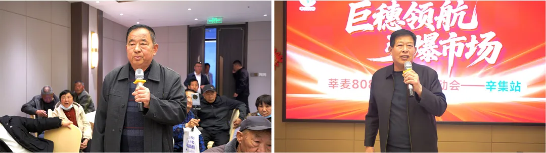 巨穗领航 引爆市场 莘麦808辛集市场启动会火爆出圈