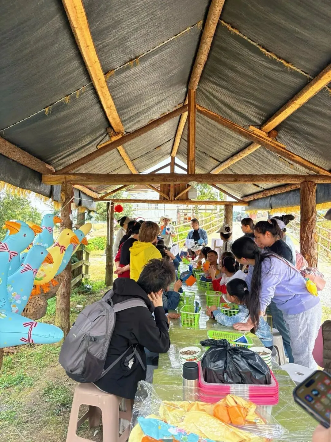 春假+清明,乌当春日文旅市场活力迸发