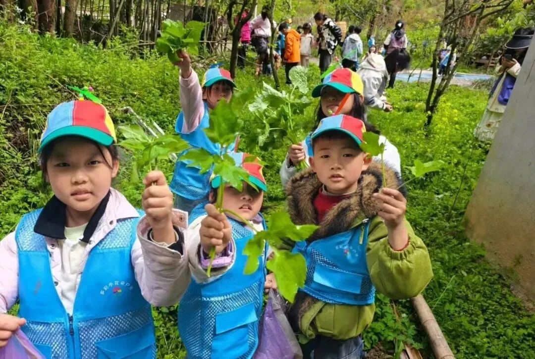 春假+清明,乌当春日文旅市场活力迸发