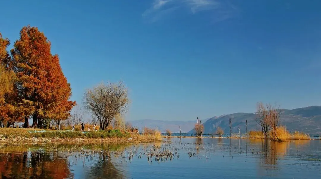 相亲市场的潜规则:受欢迎的,从来不是最优秀的