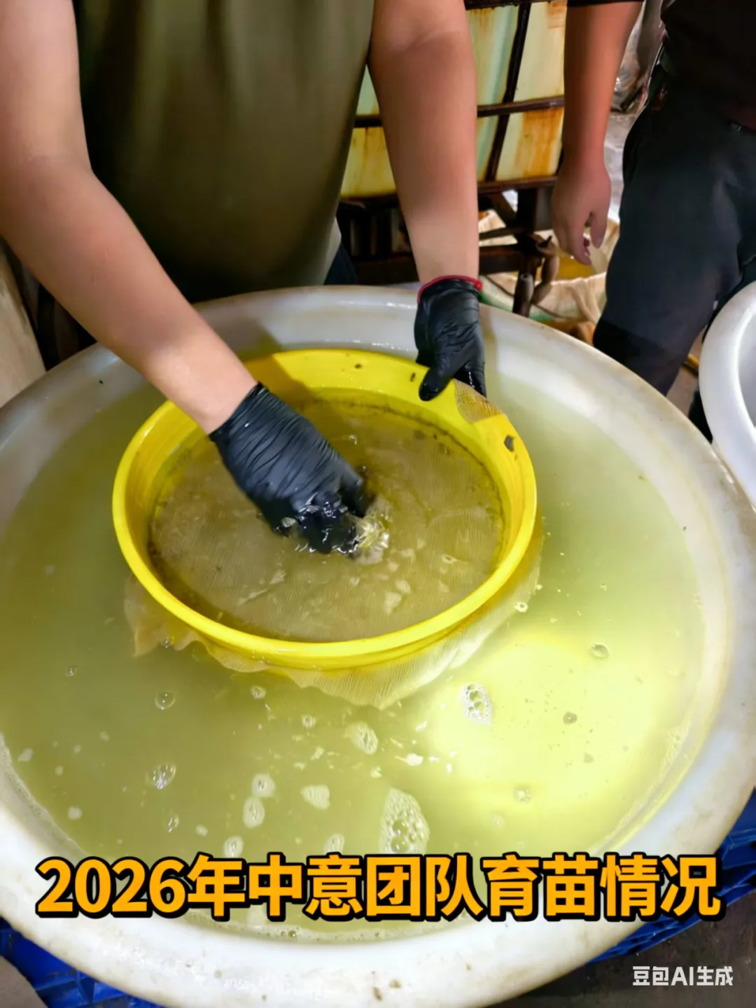 全球海参市场114亿美元,老外开始吃了——今年出口有戏?