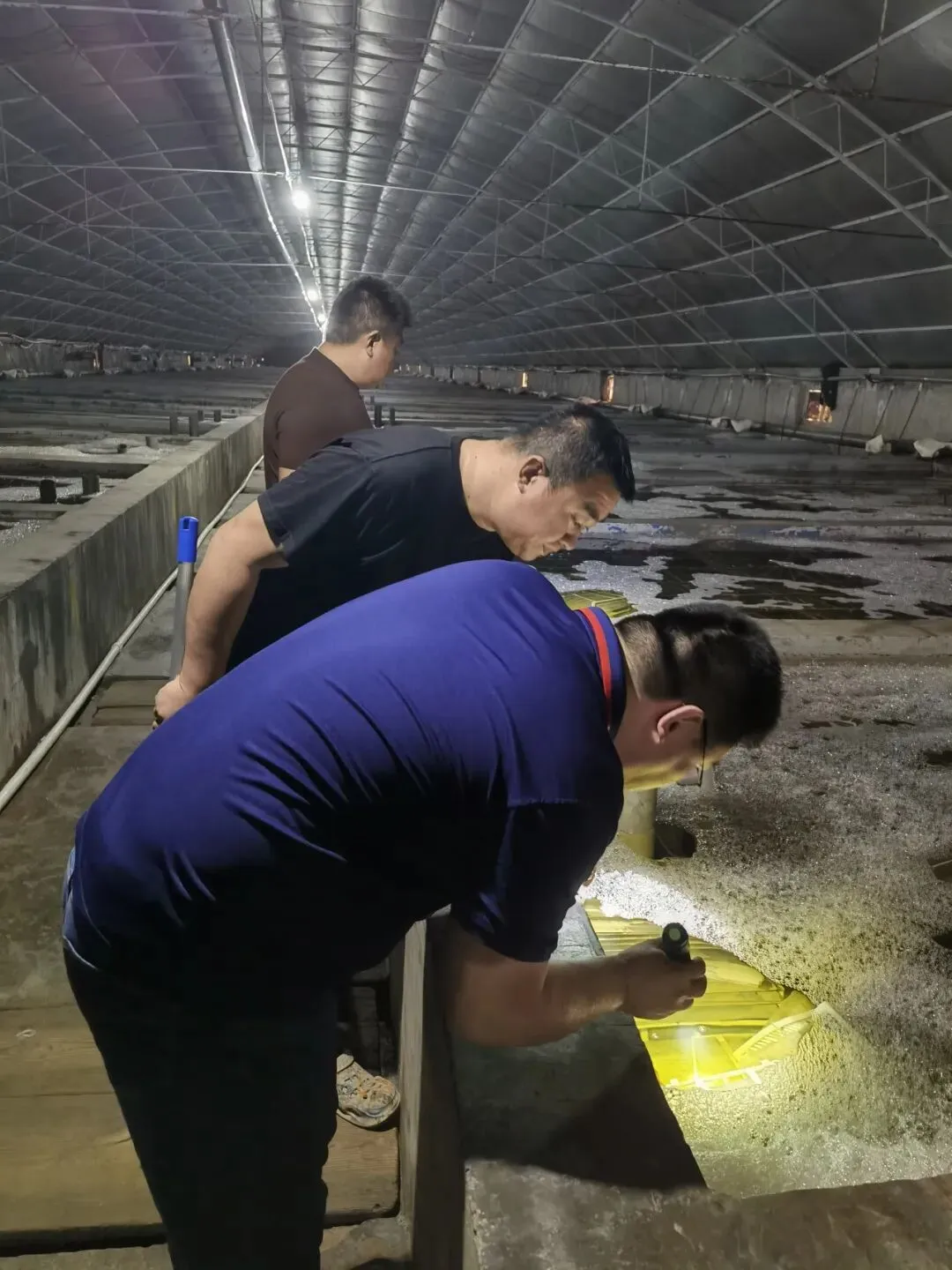 全球海参市场114亿美元,老外开始吃了——今年出口有戏?