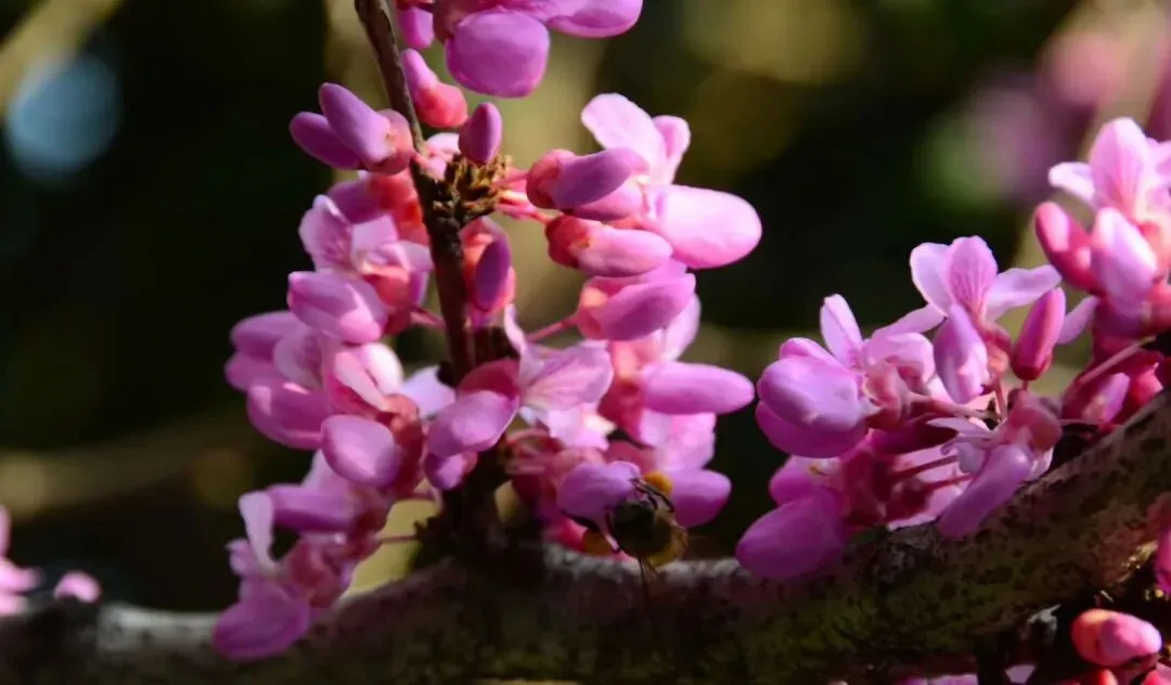 感召营销:让客户主动追随,才是企业最高级的获客逻辑