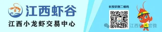 2026年04月09日江西省水产品交易市场报价