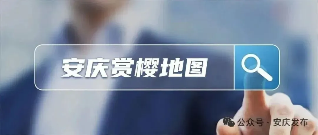 安徽投入超4亿元,提升市场监管效能