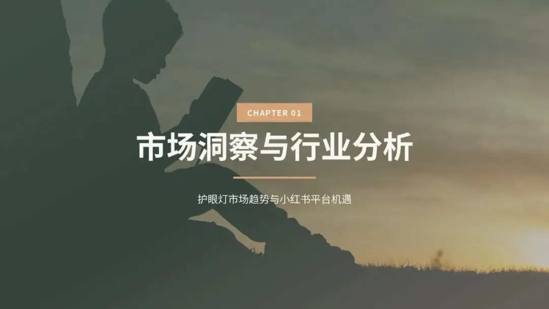 2026好视力护眼灯具小红书内容营销策划案