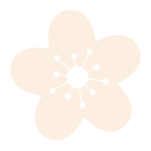 益寿光年济宁颐养中心:聚焦营销护理双重点 抢抓开局提质增效