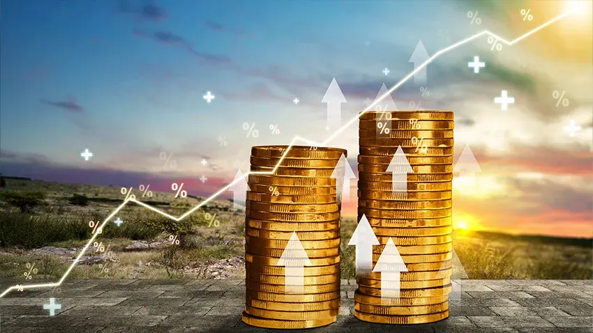 中企出海非洲市场,哪些品类赛道值得重点布局?