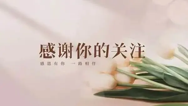 中小企业低成本营销实战指南:没钱也能打翻身仗